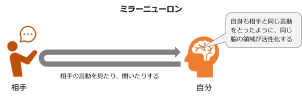 ミラーニューロン